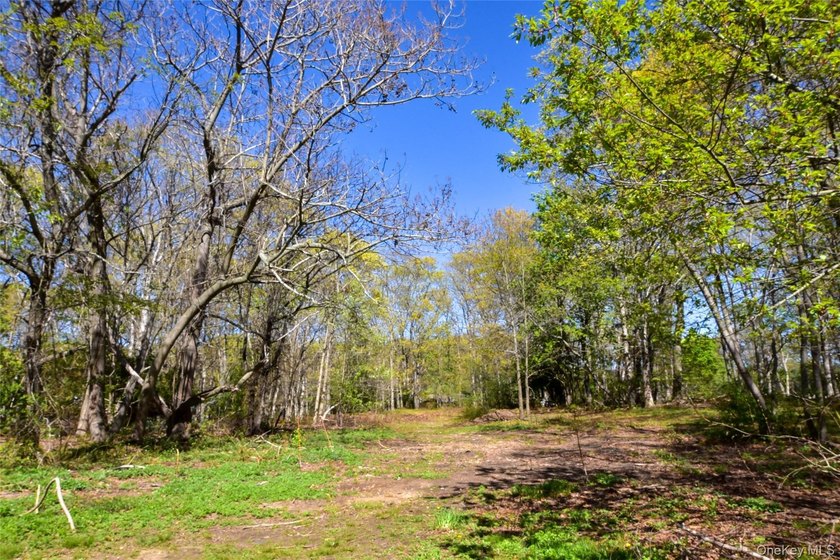 Rare and wonderful opportunity for a handy homeowner to own an - photo 15