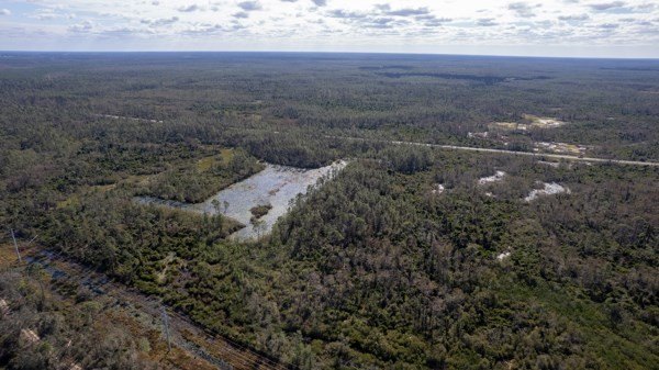 A rare opportunity awaits in the heart of Taylor County - photo 11
