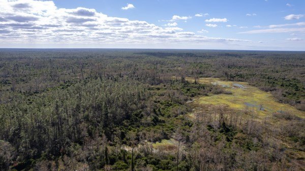 A rare opportunity awaits in the heart of Taylor County - photo 14