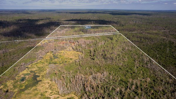 A rare opportunity awaits in the heart of Taylor County - photo 22
