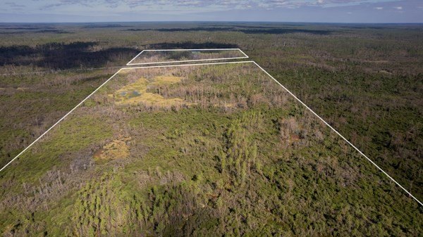 A rare opportunity awaits in the heart of Taylor County - photo 25