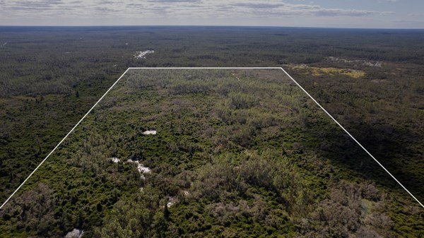 A rare opportunity awaits in the heart of Taylor County - photo 26