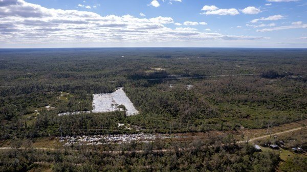 A rare opportunity awaits in the heart of Taylor County - photo 29