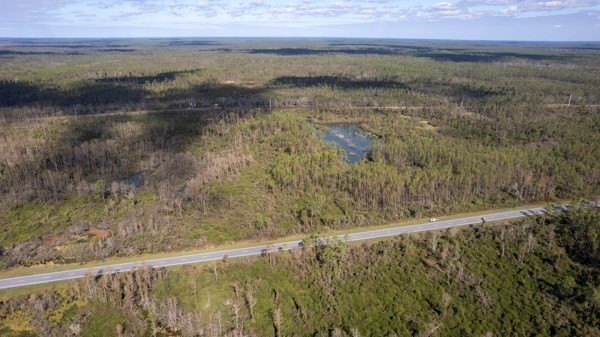 A rare opportunity awaits in the heart of Taylor County - photo 31