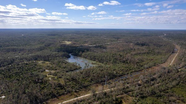A rare opportunity awaits in the heart of Taylor County - photo 32