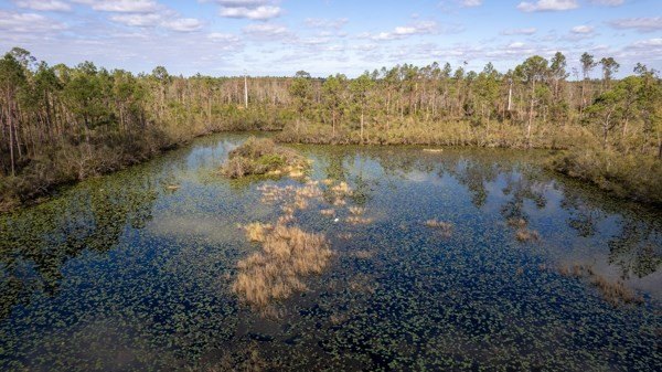 A rare opportunity awaits in the heart of Taylor County - photo 33