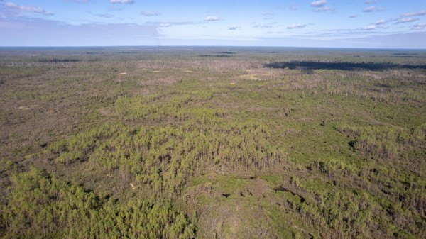 A rare opportunity awaits in the heart of Taylor County - photo 41