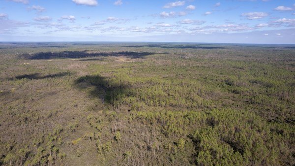 A rare opportunity awaits in the heart of Taylor County - photo 43