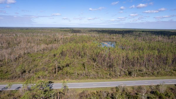 A rare opportunity awaits in the heart of Taylor County - photo 44