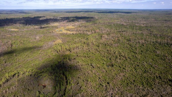 A rare opportunity awaits in the heart of Taylor County - photo 46
