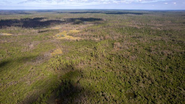 A rare opportunity awaits in the heart of Taylor County - photo 48