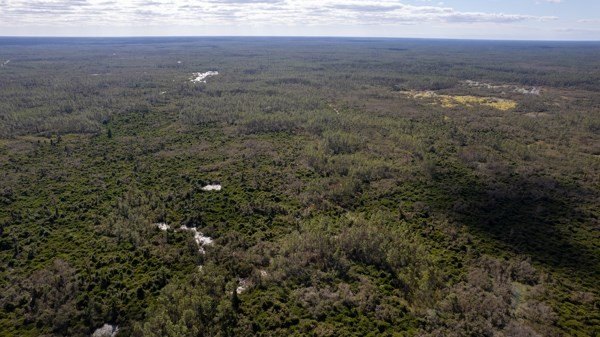 A rare opportunity awaits in the heart of Taylor County - photo 50