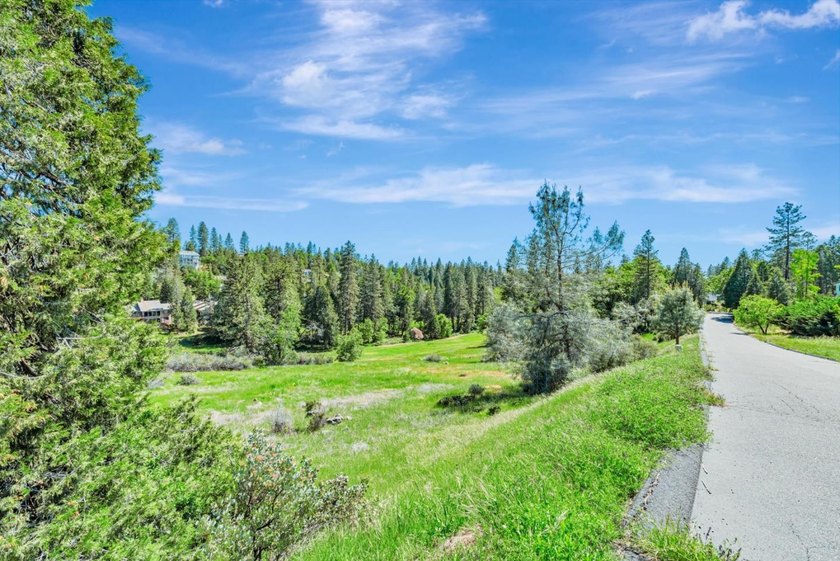 Discover the beauty of the majestic Sierra foothills in Forest - photo 42