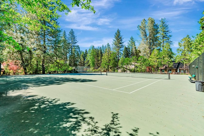 Discover the beauty of the majestic Sierra foothills in Forest - photo 48