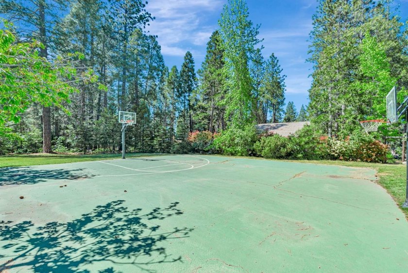 Discover the beauty of the majestic Sierra foothills in Forest - photo 49