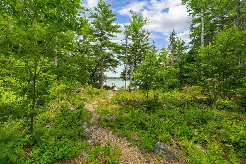 Build your dream getaway on the shores of beautiful Cathance - photo 12