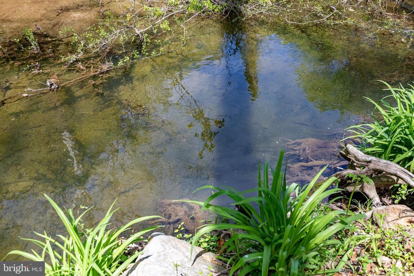 Paradise Awaits!!! 23 Acres of nature, tranquility and peace in - photo 14