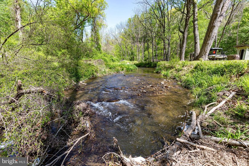 Paradise Awaits!!! 23 Acres of nature, tranquility and peace in - photo 16