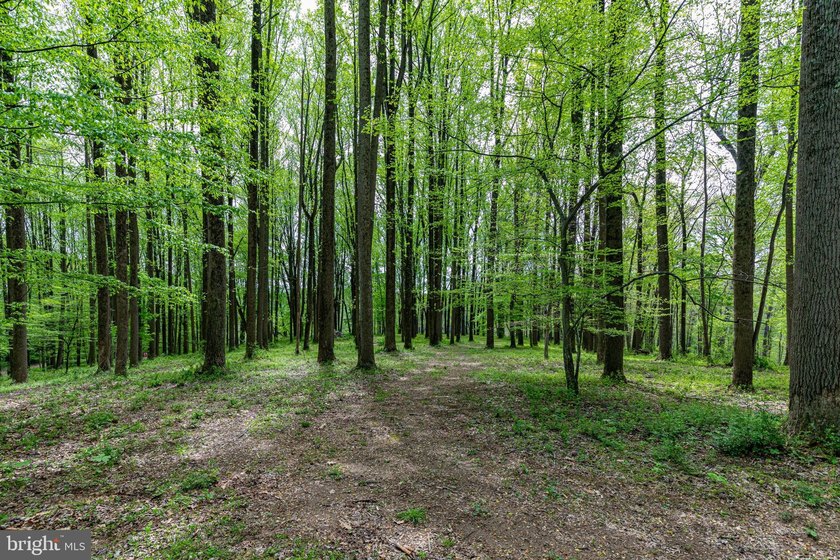 Paradise Awaits!!! 23 Acres of nature, tranquility and peace in - photo 18