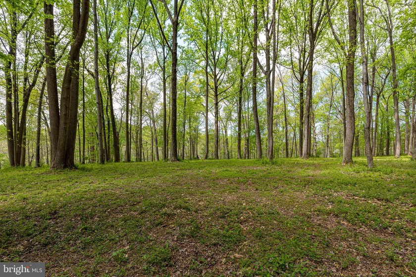 Paradise Awaits!!! 23 Acres of nature, tranquility and peace in - photo 24