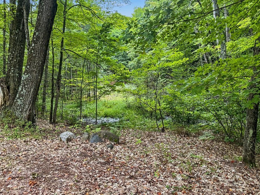 Discover unmatched privacy in the heart of the Harrison Hills - photo 27