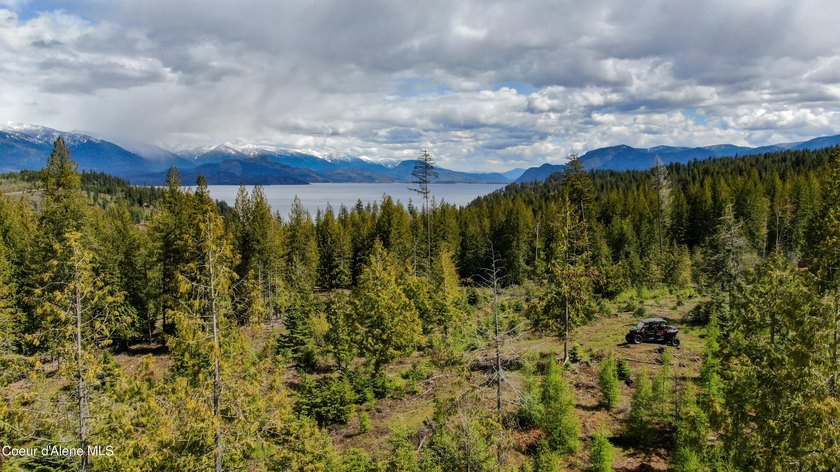 Estate Lot 8 is a large 18.19-acre parcel that has breathtaking - photo 3