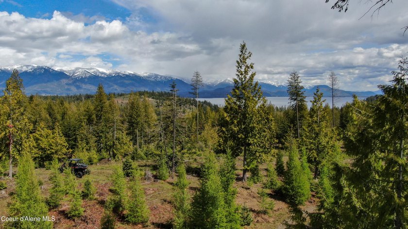 Estate Lot 8 is a large 18.19-acre parcel that has breathtaking - photo 4