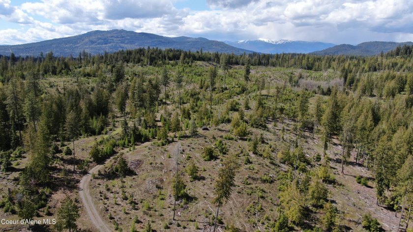 Estate Lot 8 is a large 18.19-acre parcel that has breathtaking - photo 5