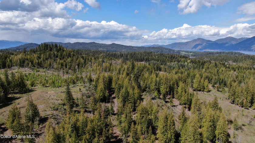 Estate Lot 8 is a large 18.19-acre parcel that has breathtaking - photo 9