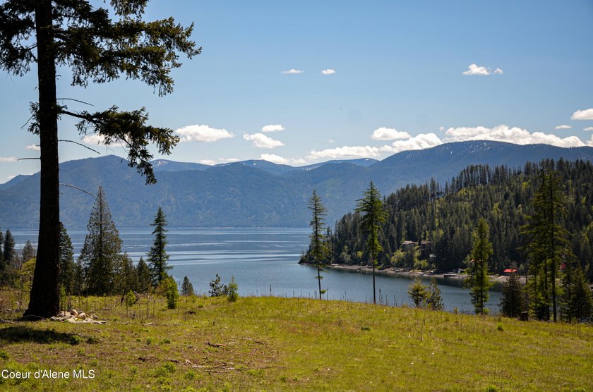 Become part of the exclusive, low-density, gated waterfront - photo 6