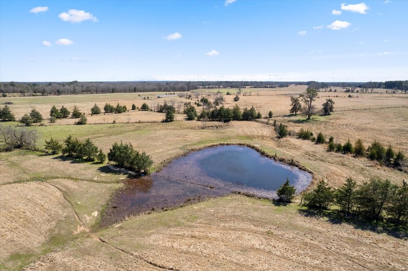 Escape to Tranquil Country Living! Build Your Dream Home on - photo 9