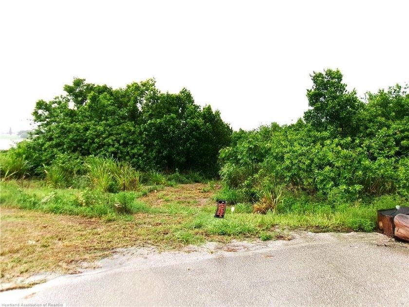 2 lots together zone mobile home or for a single-family home - photo 12