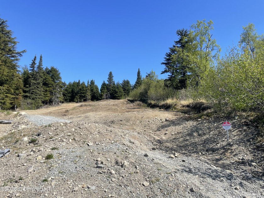 Ready to build your custom dream home in the sought-after - photo 3