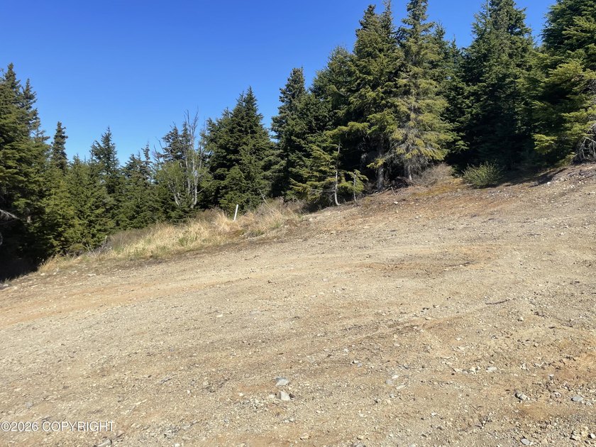 Ready to build your custom dream home in the sought-after - photo 6