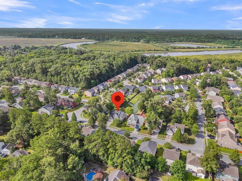 Stunning, single-owner home in Taylor Plantation on the Ashley - photo 50