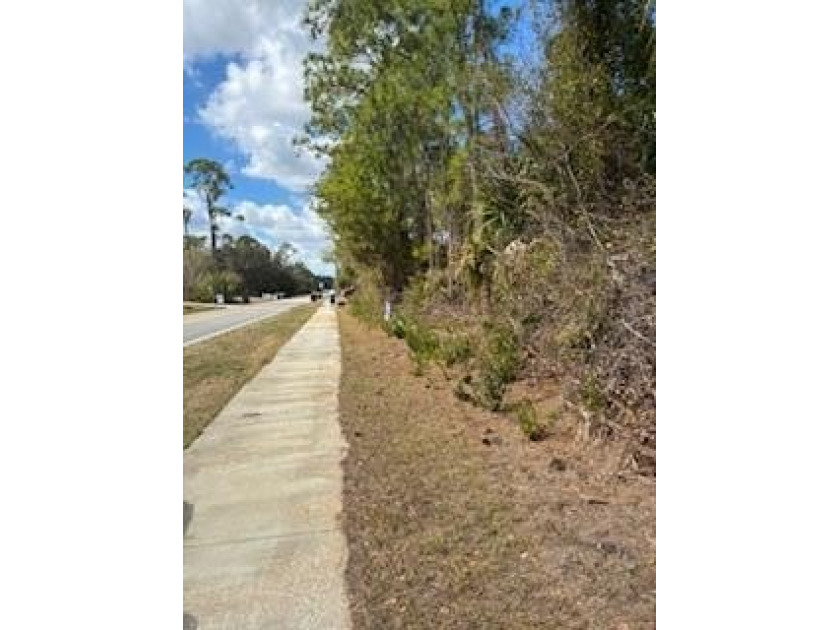 Great location close to shopping and newer homes - photo 3