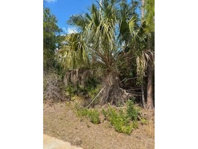 Great location close to shopping and newer homes - photo 4