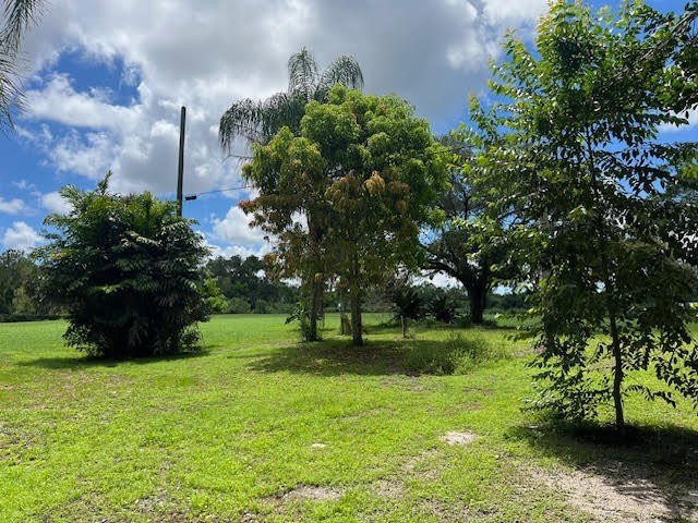 Organic farm, 2.79 acres of upland pasture after carving out the - photo 14