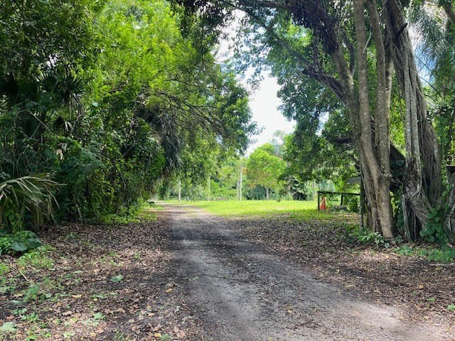 Organic farm, 2.79 acres of upland pasture after carving out the - photo 16