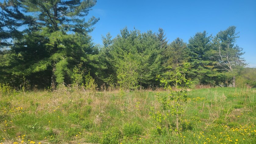 This .28 acres lot is located on a quiet side Street overlooking - photo 3