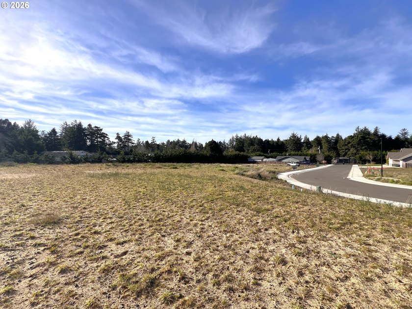 Welcome to THE LAKES, a brand-new gated community offering 15 - photo 17