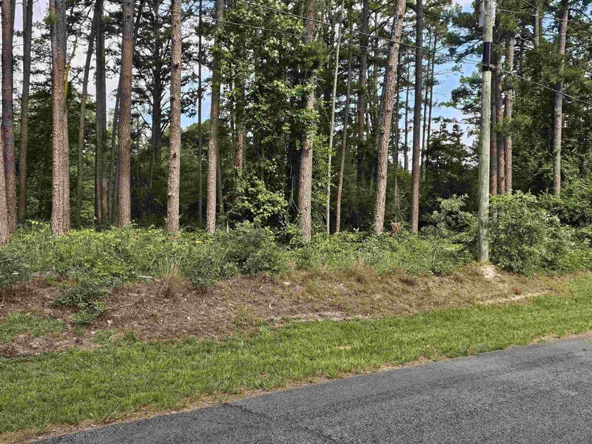 Great opportunity to choose your neighbor and build the homes - photo 7