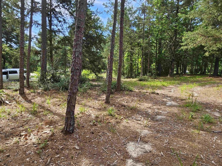Great opportunity to choose your neighbor and build the homes - photo 8