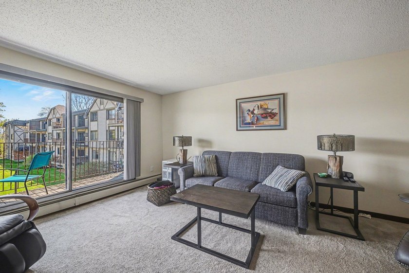 Experience maintenance-free lake living at its finest in this - photo 8