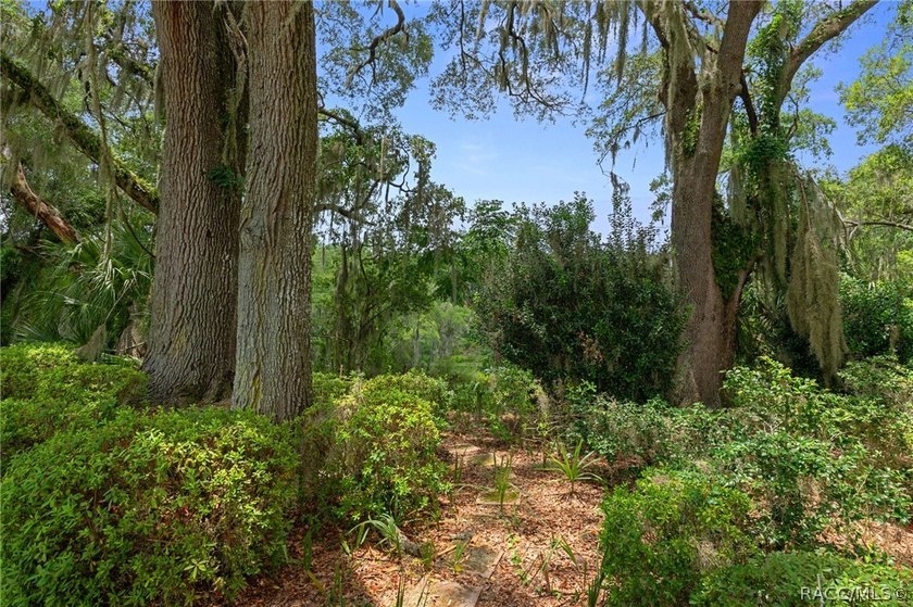 Citrus Hills - Canterbury Lake Estates - Immaculately maintained - photo 39