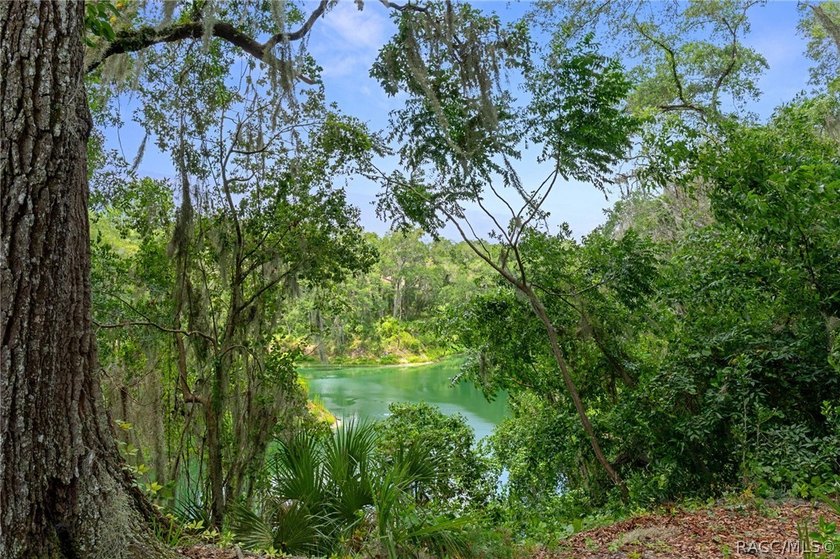 Citrus Hills - Canterbury Lake Estates - Immaculately maintained - photo 40