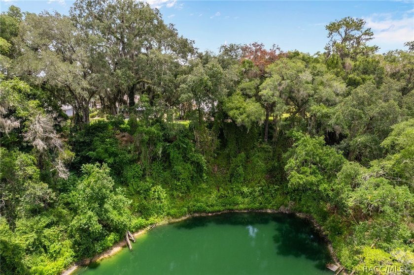 Citrus Hills - Canterbury Lake Estates - Immaculately maintained - photo 42