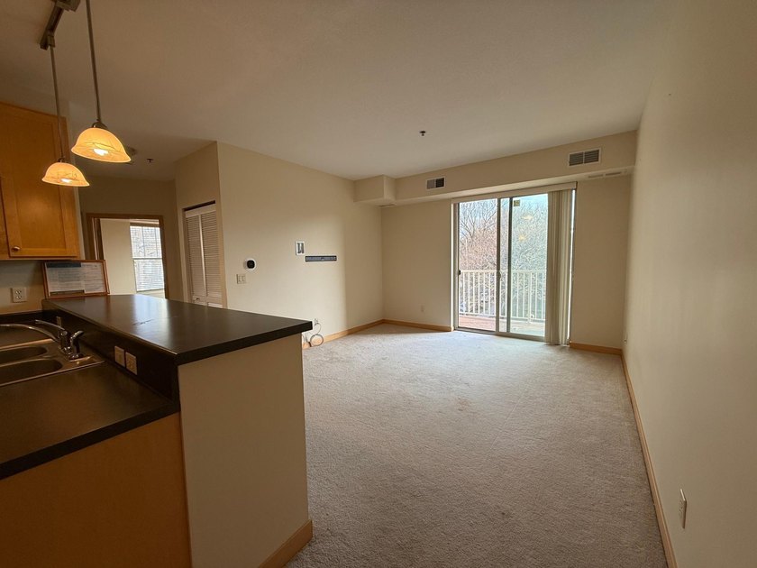 Experience effortless condo living in the heart of Prospect Park - photo 5