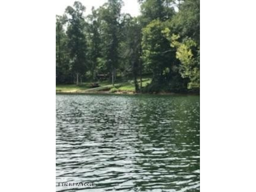 Want a large acreage tract with lake frontage? This lot is for - photo 11