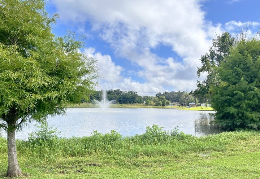 This stunning fully furnished lakefront home in the 55+ - photo 50